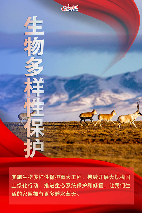 海報(bào)| 2021年政府工作報(bào)告，提到這些生態(tài)環(huán)保關(guān)鍵詞