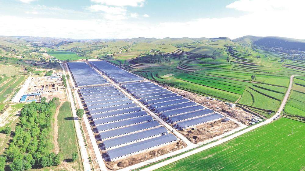 環(huán)縣雙廟20萬只肉羊育肥場俯瞰，