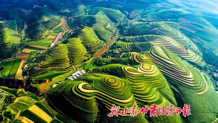 “羊”名立萬正當(dāng)時(shí)——環(huán)縣念羊經(jīng)、興羊業(yè)、發(fā)羊財(cái)促進(jìn)鄉(xiāng)村振興發(fā)展